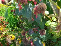 IMG_20230813_151412.webp