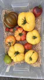 IMG_7275.jpeg