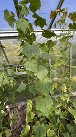 IMG_7260.jpeg