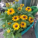 20230814_115247.webp