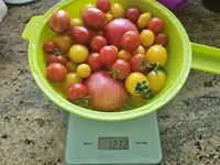 20230812_102055.webp