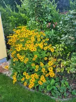 20230814_192124.webp