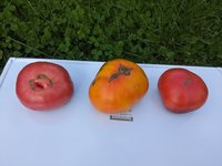 PXL_20230813_154716849.jpg