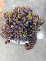 IMG_20230815_161806.webp