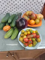 IMG_20230814_170301.webp