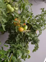 1000005505.webp