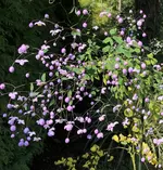 F0BC28E8-0B67-4841-A66B-F8F47709CAC1.webp