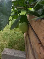 20230816_111637.webp