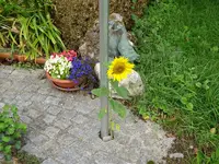 DSC03130.webp