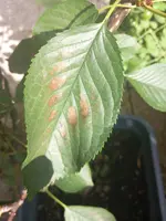 20230817_162044.webp
