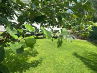 IMG_1897.jpeg