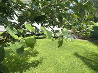 IMG_1897.jpeg