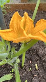 IMG_7297.jpeg