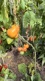IMG_7315.jpeg