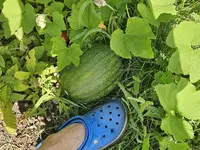 20230818_160251.webp