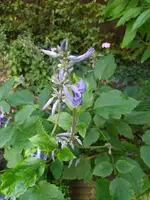IMG_20230818_164128.jpg
