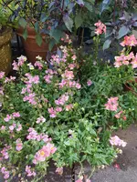 IMG_20230818_163628.jpg