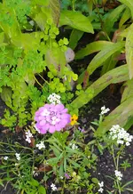 IMG_20230818_164004.jpg