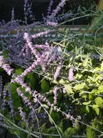IMG_20230818_163431.jpg