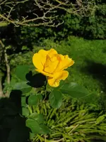IMG_20230818_163252.jpg
