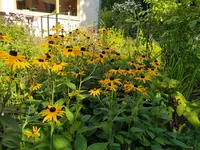 IMG_20230818_163024.jpg