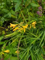 IMG_20230809_151635.jpg