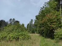 P1020157Übersicht.webp
