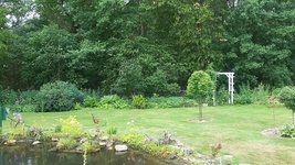 Garten-Wald .jpg