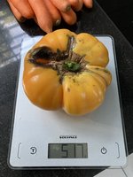 IMG_3447.jpeg