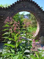 IMG_20230818_133332_1.webp