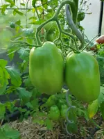 20230819_080309.webp