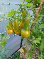 20230819_080334.webp