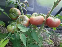 20230819_080240.webp