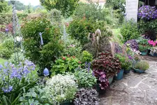Terasse        6423.webp