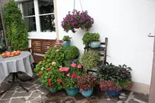 Terasse        6523.webp