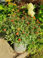 20230819_083406.webp