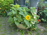 20230819_083347.jpg
