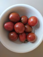IMG_20230819_114251.jpg