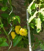 IMG_20230818_163927.webp