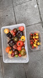 IMG_7324.jpeg