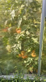 IMG_7322.jpeg
