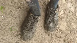 IMG_20230819_173315.webp IMG_20230819_173315.webp