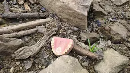 IMG_20230819_174059.webp IMG_20230819_174059.webp