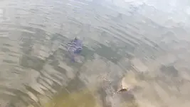 IMG_20230819_184105.webp IMG_20230819_184105.webp