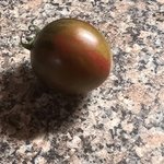 IMG_7328.jpeg