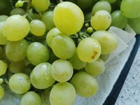 IMG_20230819_103246.jpg