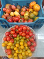 IMG_20230819_133603.jpg