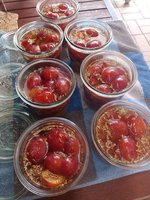 IMG_20230819_152555.jpg