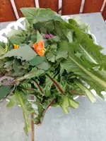 IMG_20230816_183544.webp