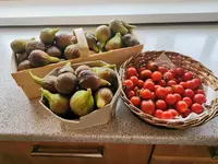 IMG_20230820_104136.webp